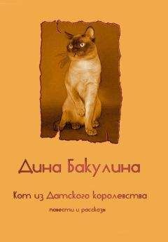 Дина Бакулина - Кот из Датского королевства
