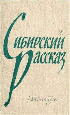 Виль Липатов - Самолетный кочегар