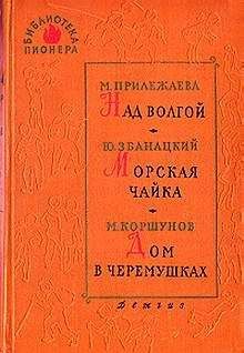 Михаил Коршунов - В зимнем городе