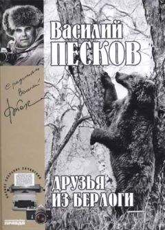 Василий Песков - Полное собрание сочинений. Том 11. Друзья из берлоги