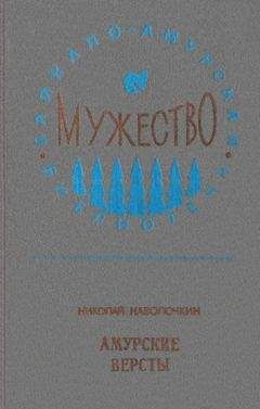Николай Наволочкин - Амурские версты