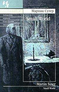 Мартин Сутер - Small World