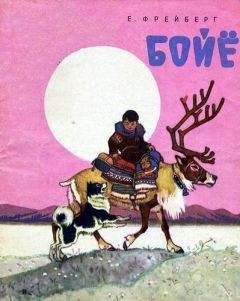Евгений Фрейберг - Бойё