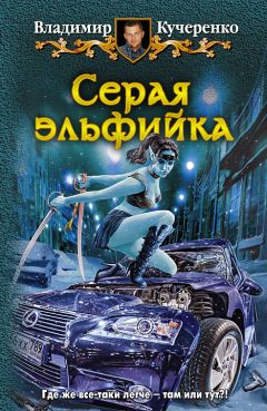 Владимир Кучеренко - Серая эльфийка