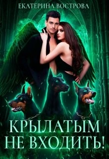 Крылатым не входить! (СИ) - Вострова Екатерина
