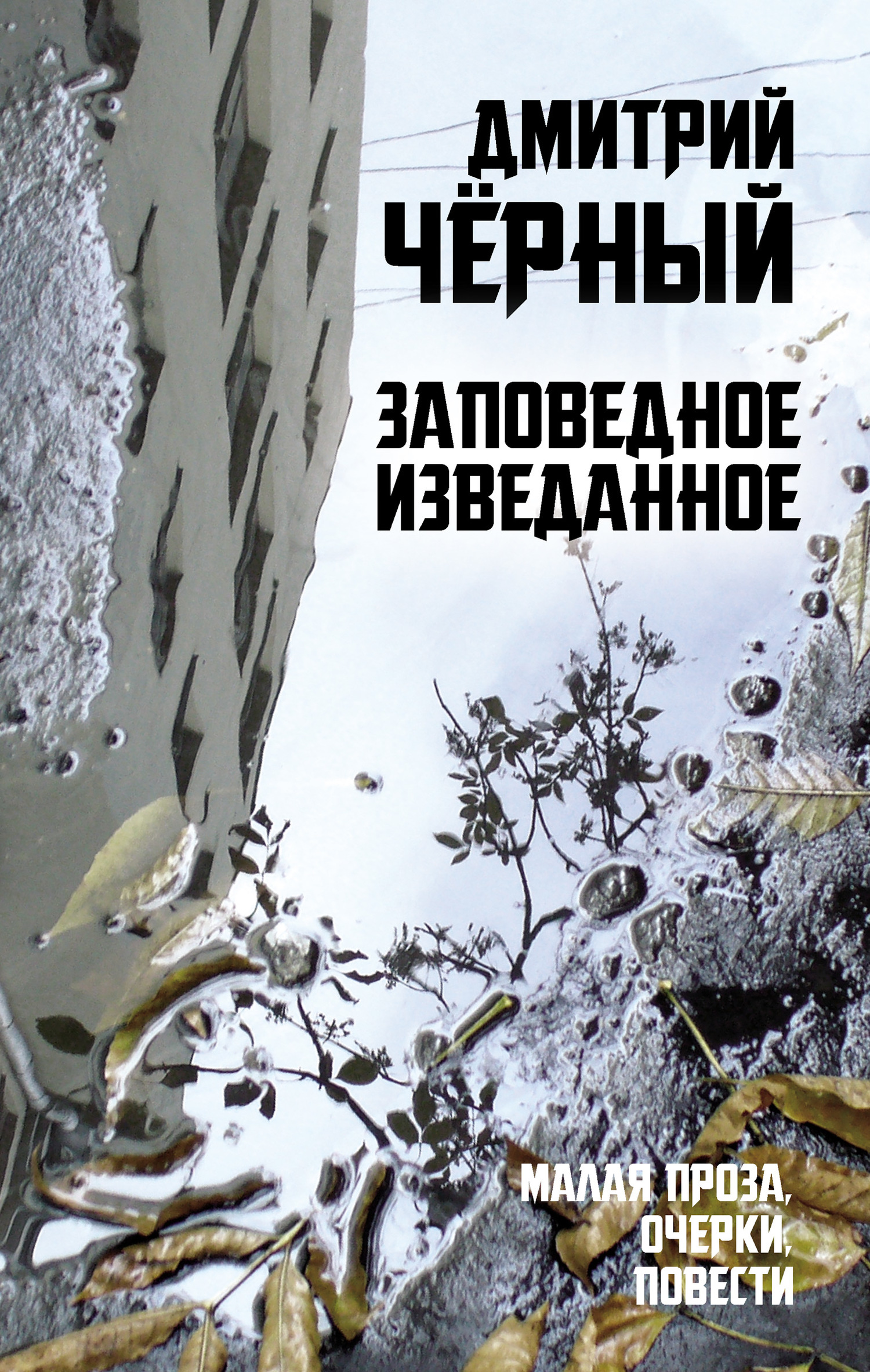 Заповедное изведанное - Дмитрий Владимирович Чёрный