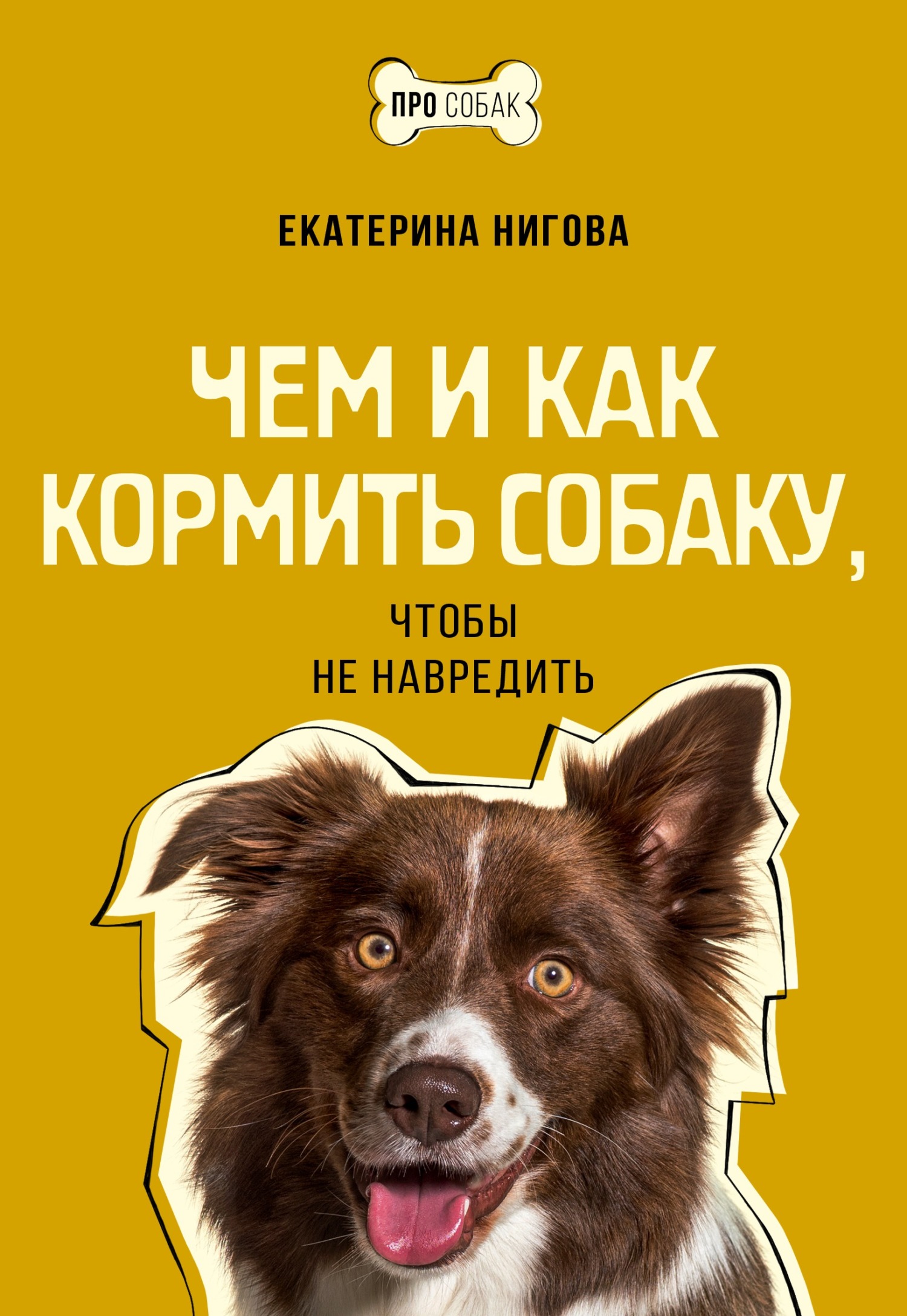 Чем и как кормить собаку, чтобы не навредить - Екатерина Алексеевна Нигова