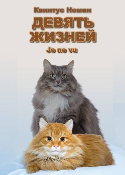 Девять жизней Je ne vu - Квинтус Номен
